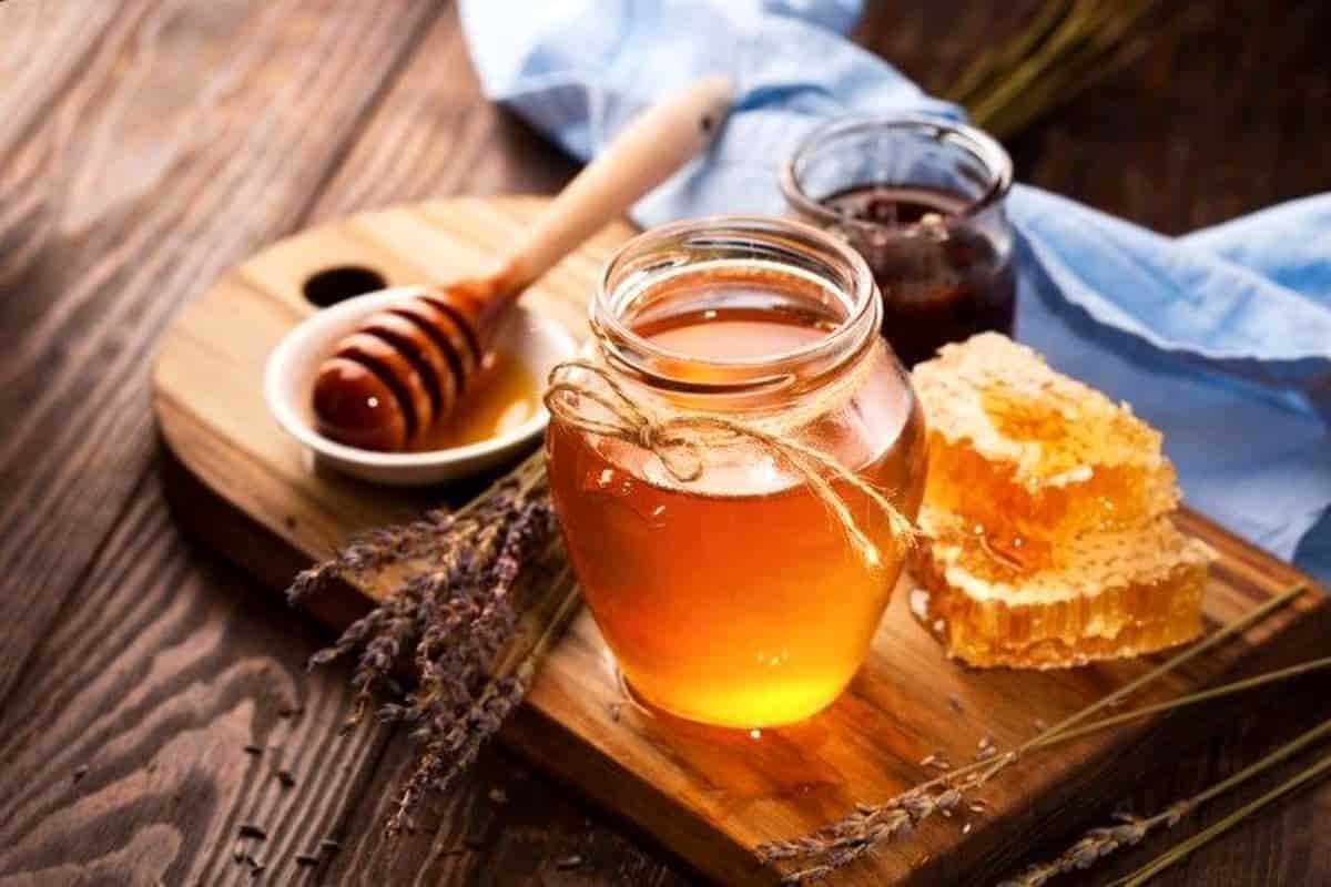 خرید عسل کوهی + فروش صادراتی
